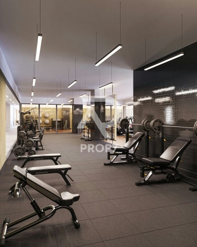 Studio 81,2 m² no Basílio 177